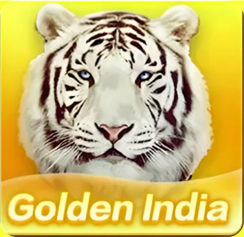 teen patti game
